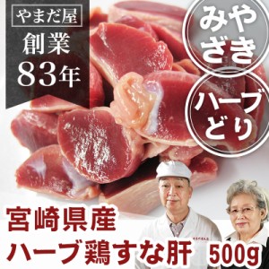 鹿児島県産 宮崎県産 銘柄鶏 砂ずり（砂肝）500g 九州産 とり肉 国産 鶏肉 ハーブ鶏 ハーブどり ハーブチキン 若鶏 若どり  