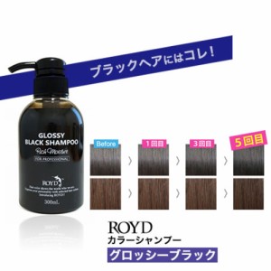 ロイド カラーシャンプー グロッシーブラック 300ml ブライセス ロイド 黒 シャンプー