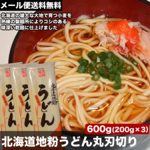 【メール便送料無料】北海道地粉うどん600g(200g3個)[ウドン乾燥麺][ポイント消化]【コンビニ決済不可】