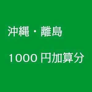 送料1000円加算分