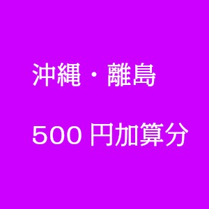 送料500円加算分