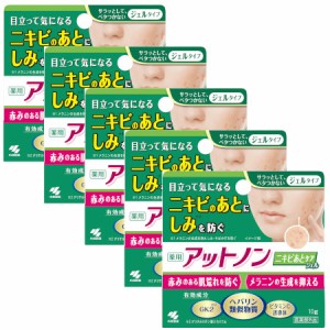 【医薬部外品】小林製薬 アットノン ニキビあとケアジェル 10g【5個セット】【メール便】【お取り寄せ】(4987072056486-5)