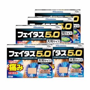 【第2類医薬品】【5個セット】フェイタス５．０大判サイズ 10枚【お取り寄せ】(4987188124468-5)