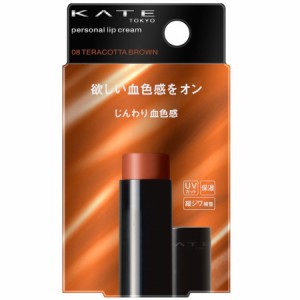 カネボウ 【メール便】ケイト パーソナルリップクリーム 08 TERACOTTA BROWN【お取り寄せ】(4973167828472)