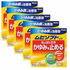 【第3類医薬品】かゆみ肌の治療薬 ムヒソフトGX 100g【5個セット】(4987426002015-5)