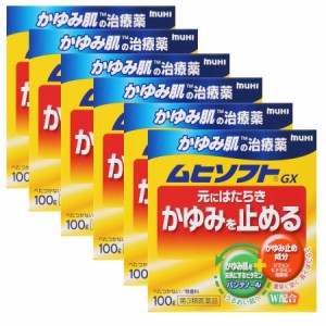 【第3類医薬品】かゆみ肌の治療薬 ムヒソフトGX 100g【6個セット】(4987426002015-6)