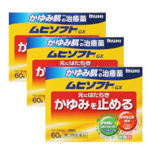 【第3類医薬品】かゆみ肌の治療薬 ムヒソフトＧＸ60g【3個セット】(4987426002008-3)