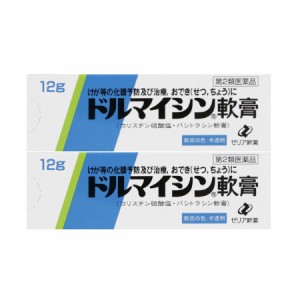 【第2類医薬品】ドルマイシン軟膏12g【2個セット】【メール便】(49252088-2)