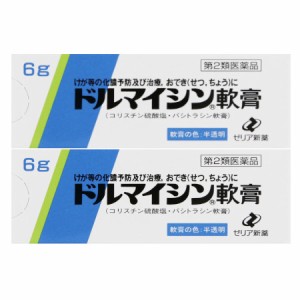 【第2類医薬品】ドルマイシン軟膏6g【2個セット】【メール便】(49252071-2)