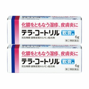 【第(2)類医薬品】 テラ・コートリル軟膏a 6g 【2個セット】【メール便】(4987123701686-2)