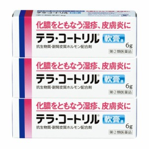 【第(2)類医薬品】テラ・コートリル軟膏a 6g 【3個セット】【メール便】【お取り寄せ】(4987123701686-3)