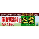 小林製薬　薬用はみがき　生葉　１００ｇ