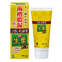 生葉ＥＸ 100g 小林製薬