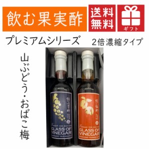 お酢 飲むお酢 飲む柿酢 2倍濃縮タイプ 2本化粧箱入 送料無料 山ぶどうｘおばこ梅 フルーツ酢 果実酢 健康酢 マルノー食品