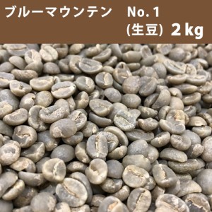 コーヒー 生豆 ブルーマウンテン No.1  2Ｋｇ 【送料無料(一部地域を除く)】