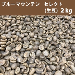 コーヒー 生豆 ブルーマウンテン セレクト  2ｋg 【送料無料(一部地域を除く)】