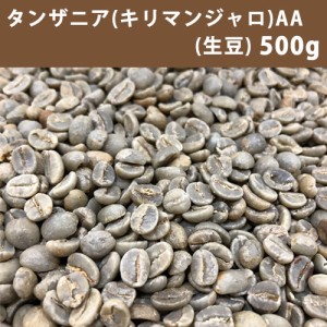 コーヒー 生豆 タンザニア キリマンジャロ AA 500g(250g×2) 【送料無料/メール便】