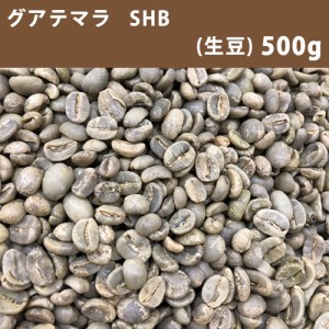 コーヒー 生豆 グアテマラ SHB 500g　【送料無料/メール便】