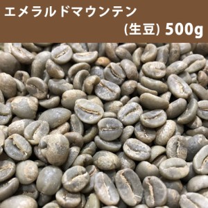 コーヒー 生豆 エメラルドマウンテン 500ｇ　【同梱不可】　【送料無料/メール便】