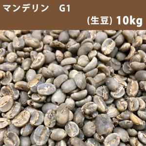 コーヒー生豆 マンデリン G1  10ｋｇ(5ｋｇ×2) 【送料無料(一部地域を除く)】【同梱不可】