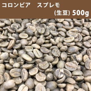 コーヒー 生豆 コロンビア スプレモ 500ｇ　【同梱不可】　【送料無料/メール便】