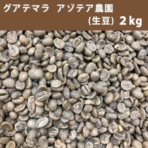 コーヒー 生豆 グアテマラ アゾテア農園 2ｋｇ　【送料無料(一部地域を除く)】