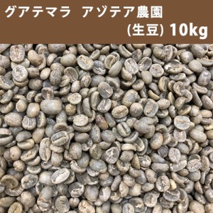 コーヒー 生豆 グアテマラ アゾテア農園 10ｋｇ(5ｋｇ×2)  【同梱不可】　【送料無料(一部地域を除く)】