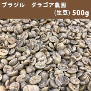 コーヒー 生豆 ブラジル ダ ラゴア農園 500ｇ　【同梱不可】　【送料無料/メール便】