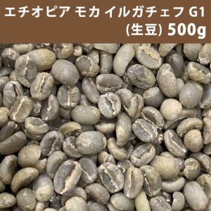 コーヒー 生豆 エチオピア モカ イルガチェフＧ1　500ｇ　【同梱不可】　【送料無料/メール便】