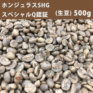 コーヒー 生豆 ホンジュラスＳＨＧスペシャル Ｑ認証 500ｇ　【同梱不可】　【送料無料/メール便】