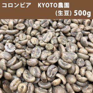 コーヒー 生豆 コロンビア 有機JAS認証 KYOTO農園 500ｇ(250ｇ×2)　【同梱不可】　【送料無料/メール便】
