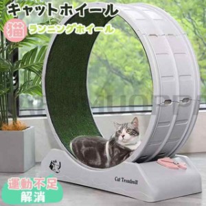 キャットホイール 猫 回し車 ロック装置内蔵 静音低ノイズ 猫専用ルームランナー 猫 ランニングホイール キャットウォーク 運動不足解消