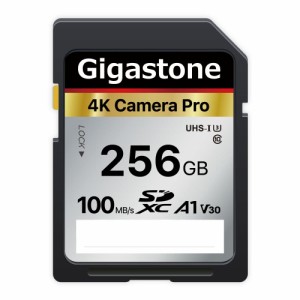Gigastone SDカード 256GB メモリーカード A1 V30 U3 Class 10 SDXC 高速 4K UHD  Full HD ビデオ Canon Nikon な