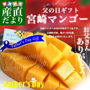 父の日ギフト 宮崎県より産地直送 JA宮崎中央 完熟マンゴー 大玉2L×2玉 (350から459g×2玉) 父の日プレゼント 送料無料 産直だより