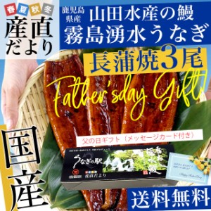  【遅れてごめんね】父の日ギフト 鹿児島県志布志産 山田水産 霧島湧水うなぎ 長蒲焼き 大サイズ3尾セット（140g前後×3尾）送料無料 鰻