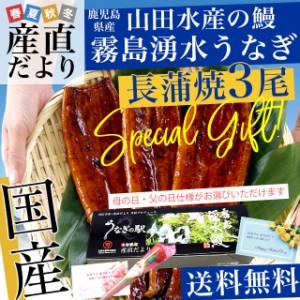 母の日ギフト 父の日ギフト 鹿児島県志布志産 山田水産 霧島湧水うなぎ 長蒲焼き 大サイズ3尾セット（140g前後×3尾）送料無料 鰻師 加藤