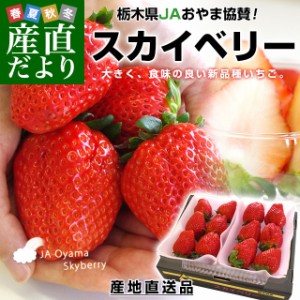 栃木県より産地直送 Jaおやま スカイベリー 約300g 2p 6から12粒 2p いちご イチゴ 苺 クール便発送 産直だより 送料無料の通販はau Wowma ワウマ 産直だより 商品ロットナンバー 234688383