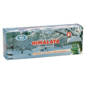 ビック BIC インド香 スティックタイプ ヘキサ 六角 HIMARAYA ヒマラヤ 1ケース(6箱入り) 約120本 セット お香 アロマ インド香 インセン