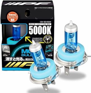 IPF ヘッドライト フォグランプ ハロゲン 車用 H4 5000K 白色 12V用 2本入 車検対応 MGバルブ 蓄光