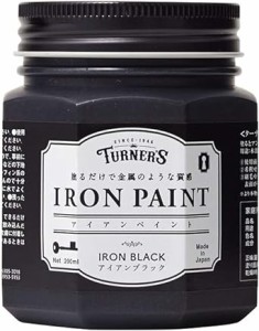 ターナー色彩(Turner Color) 水性ペイント アイアンペイント アイアンブラック IR200009 200ml