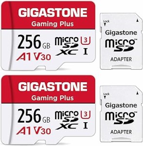 Gigastone マイクロsdカード 256GB 2個セット, 2 SDアダプタ付き, 2 ミニ収納ケース付き, 4K