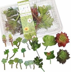 たにくごっこ フェイク 造花 多肉植物カット苗 おまかせ20〜22個セット フェイクグリーン アートフラワー 寄せ植え