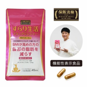 保阪流極 すらり生活 [機能性表示食品] 90粒 - 愛粧堂 [保阪流/BMI]  ※メール便対応商品