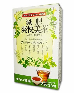 減肥爽快美茶 4g×30包 - がんこ茶屋 