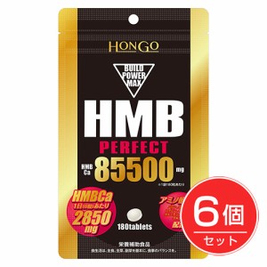 HMB perfact パーフェクト85500 300粒×6個セット - HONGO 