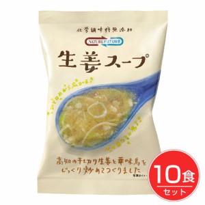 NATURE FUTURe 生姜スープ 10食 - コスモス食品 