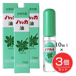 ハッカ油スプレー 10ml×3個セット - 北見ハッカ通商 [ペパーミント/虫除け]  ※メール便対応商品