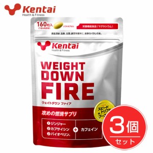 ケンタイ ウエイトダウン ファイア 160粒×3個セット - 健康体力研究所 (kentai) [減量/ウェイトダウン]  ※ネコポス対応商品