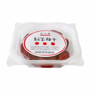 特別栽培 紅玉梅干 120g - 海の精 