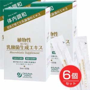 オーサワ植物性乳酸菌生成エキス 5ml×30包×6個セット - オーサワジャパン 